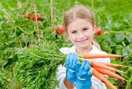 kids vegie garden