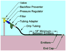 drip irrigation setup