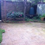 garden before renovation